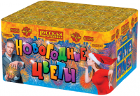 Новогодние цветы Фейерверк купить в Мензелинске | menzelinsk.salutsklad.ru