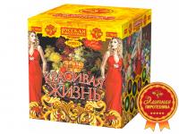 Красивая жизнь Фейерверк купить в Мензелинске | menzelinsk.salutsklad.ru