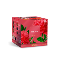 Пионы Салют купить в Мензелинске | menzelinsk.salutsklad.ru