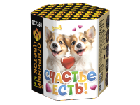 Счастье есть! Салют купить в Мензелинске | menzelinsk.salutsklad.ru