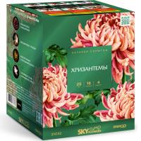 Хризантемы Фейерверк купить в Мензелинске | menzelinsk.salutsklad.ru