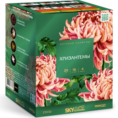 Хризантемы Фейерверк купить в Мензелинске | menzelinsk.salutsklad.ru