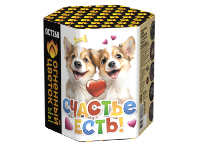 Счастье есть! Салют купить в Мензелинске | menzelinsk.salutsklad.ru